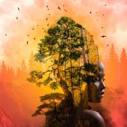 The Cry of Mother Earth